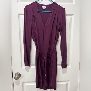 Splendid Purple Shirt Dress